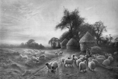 Pecore che si nutrono, c1890, 1911 da Joseph Farquharson