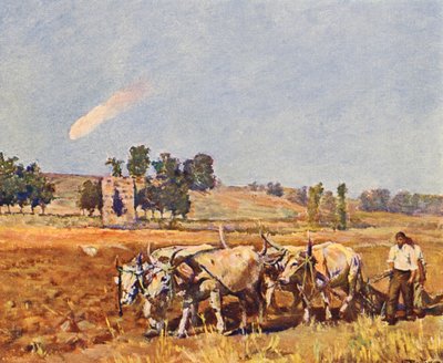Roma: La campagna di Roma, Buoi al lavoro da Joseph Felix Bouchor