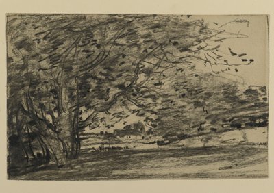 Studio di alberi, 1870 da Joseph Frank Currier