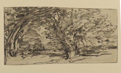 Studio di alberi, 1870 da Joseph Frank Currier