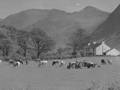Un agricoltore guida il suo trattore in un campo con le mucche, sullo sfondo un edificio agricolo e le colline. da Joseph Hardman