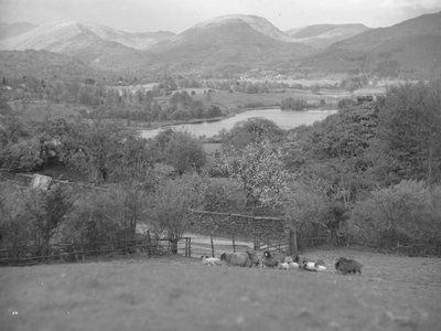 Una veduta di pecore al pascolo in un campo con agnelli, sullo sfondo un lago, le colline e il bosco da Joseph Hardman
