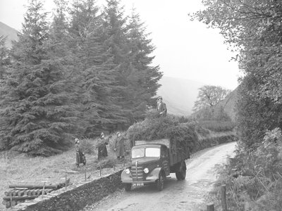 Un camion carico di alberi di Natale da Joseph Hardman