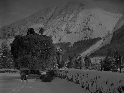 Un camion pieno di alberi di Natale si fa strada lungo una strada innevata da Joseph Hardman