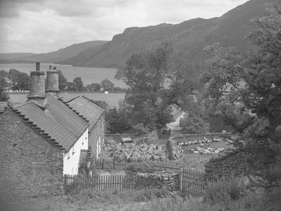 Pecore in una fattoria, lago e montagne sullo sfondo da Joseph Hardman