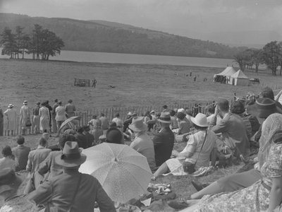 Spettatori che assistono alle prove dei cani da pastore da Joseph Hardman