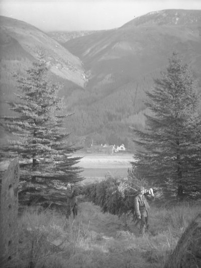 Due uomini che trasportano un albero di Natale con vista alle spalle da Joseph Hardman