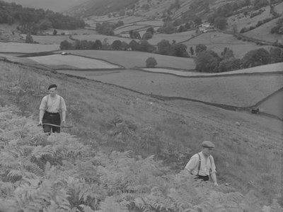 Due uomini che falciano il Bracken da Joseph Hardman
