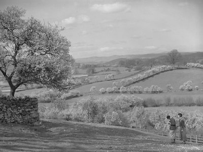 Due donne guardano gli alberi in fiore in primo piano da Joseph Hardman