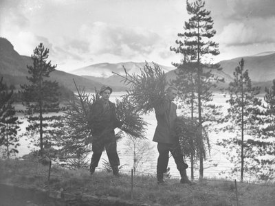 Due giovani che trasportano piccoli alberi di Natale sulla riva di Thirlmere da Joseph Hardman