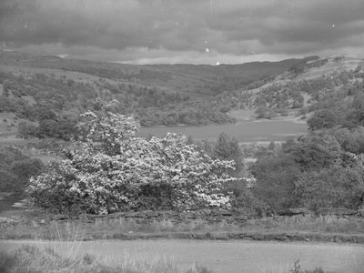 Vista sul lago di Rydal da Joseph Hardman