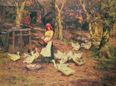 Dare da mangiare alle anatre da Joseph Harold Swanwick