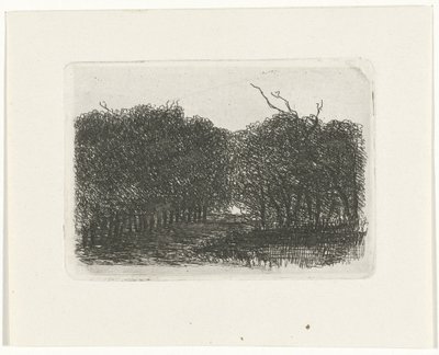 Veduta del bosco da Joseph Hartogensis