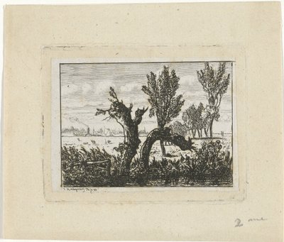 Paesaggio con salici (Paesaggio a Oosterbeek) da Joseph Hartogensis