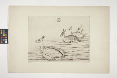 Cerfs Indochinois I (Cervi indocinesi I) da Joseph Hecht