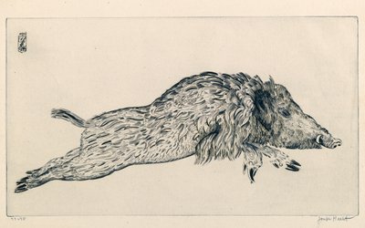 Cinghiale (Le Sanglier) (incisione) da Joseph Hecht