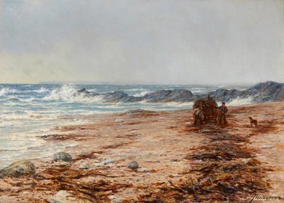 Raccolta di alghe da Joseph Henderson