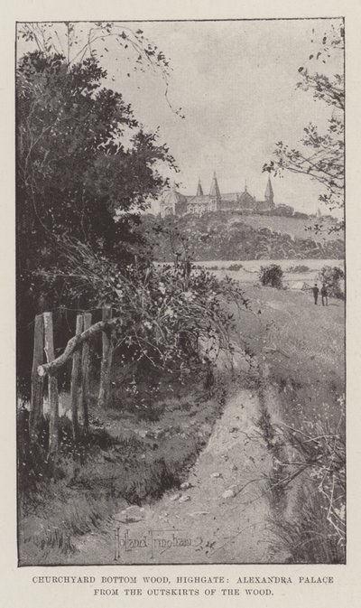 Churchyard Bottom Wood, Highgate, Alexandra Palace dai dintorni del bosco da Joseph Holland Tringham