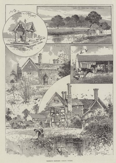 Schizzi Vagabondi, Ockley, Surrey da Joseph Holland Tringham
