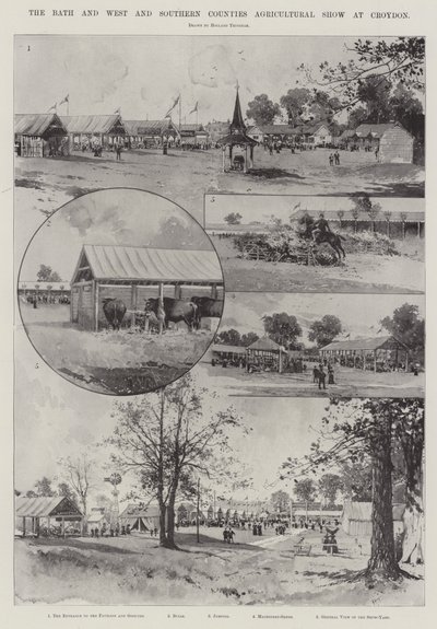 Mostra agricola di Bath e delle contee occidentali e meridionali a Croydon da Joseph Holland Tringham