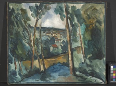 Villaggio nella valle da Joseph Jacob Plenck