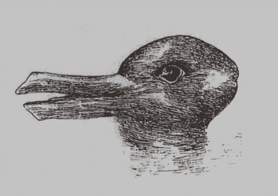 Illusione anatra-coniglio. Da: Jastrow, J. L