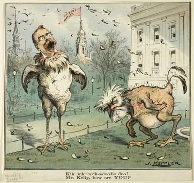 Kik-kik-cock-a-doodle doo! Mr. Kelly, come sta, da Puck da Joseph Keppler