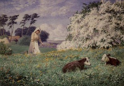Nutrendo i vitelli da Joseph Kirkpatrick