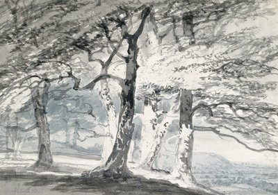 Norbury Park, Surrey da Joseph Mallord William (attr.to) Turner