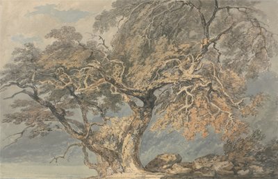  da Joseph Mallord William Turner