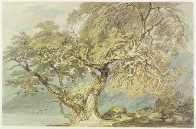 Un grande albero, c.1796 da Joseph Mallord William Turner