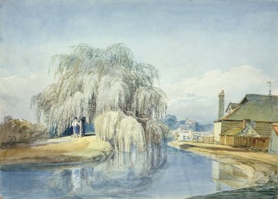 Un salice piangente da Joseph Mallord William Turner