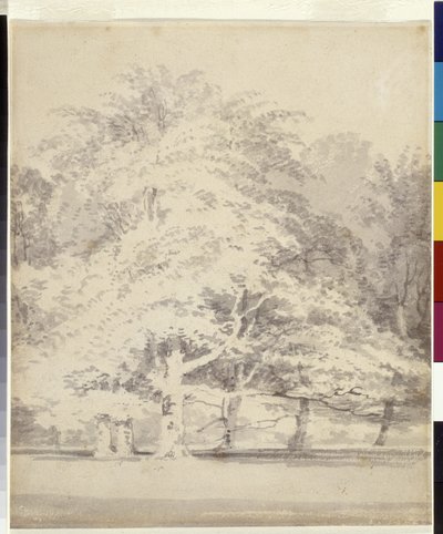 Faggi da Joseph Mallord William Turner