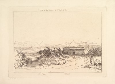 Quinta piaga d