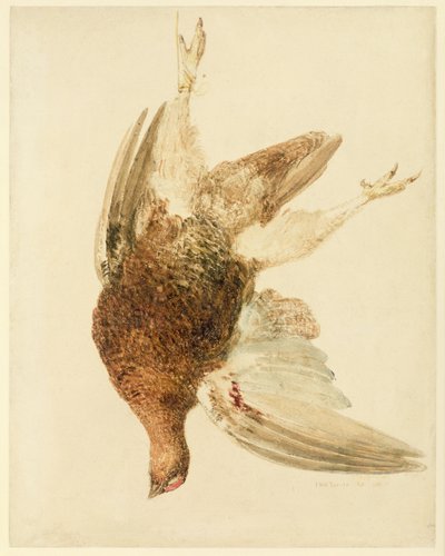 Gallo cedrone, dal Libro degli Uccelli di Farnley da Joseph Mallord William Turner