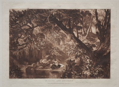 Liber Studiorum: Aesacus e Hesperie da Joseph Mallord William Turner