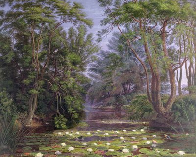 Ninfee del fiume Cherwell, 1851 da Joseph Mallord William Turner