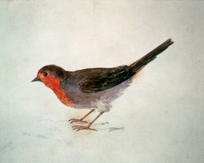 Pettirosso, dal Libro degli Uccelli di Farnley, c.1816 da Joseph Mallord William Turner