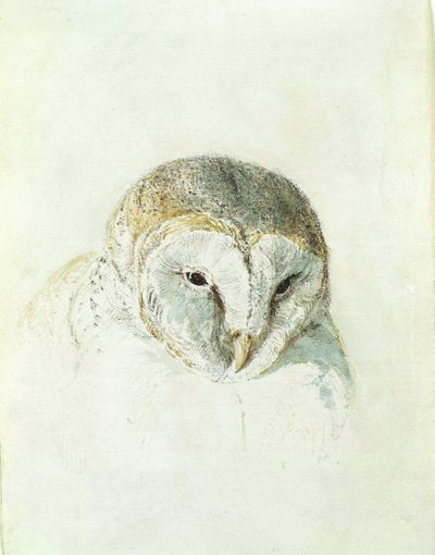 Barbagianni bianco, dal Libro degli Uccelli di Farnley da Joseph Mallord William Turner