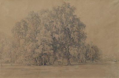Gruppo di betulle nel parco del castello di Seebenstein in Bassa Austria da Joseph Martin Höger