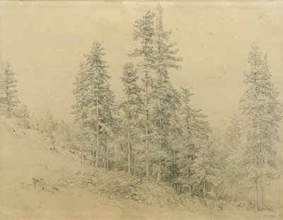 Abete nobile da Joseph Martin Höger