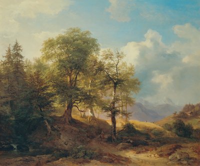 Paesaggio estivo in alta montagna da Joseph Martin Höger