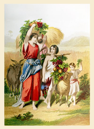 I primi frutti. Illustrazione del Libro dell