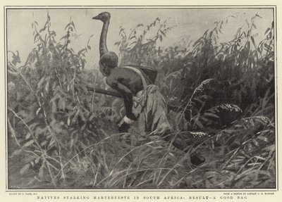Indigeni che inseguono Hartebeeste in Sudafrica, risultato, un buon bottino da Joseph Nash