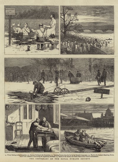 Il centenario della Royal Humane Society da Joseph Nash