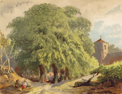 Scena di villaggio, Limes da Joseph Needham