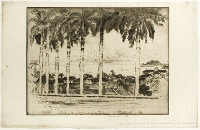 Passeggiata dei vescovi, Ancon Hill, Panama da Joseph Pennell