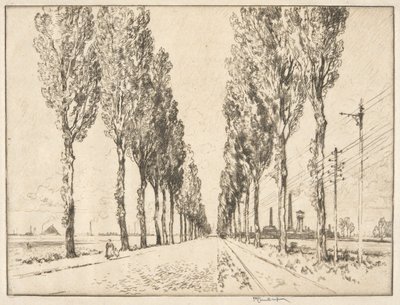 Il viale vicino a Valenciennes da Joseph Pennell