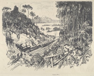 La Giungla da Joseph Pennell