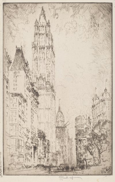 Il Woolworth Building da Joseph Pennell